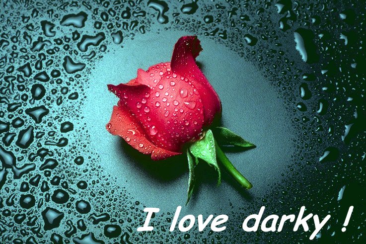 darky.jpg