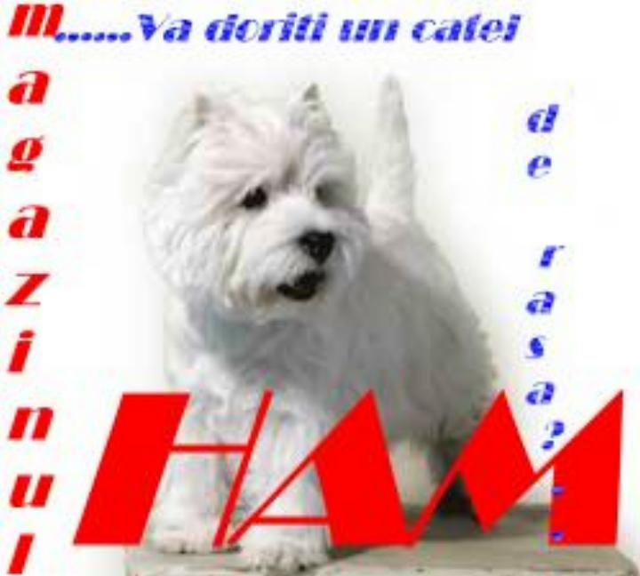 westie ham2.jpg