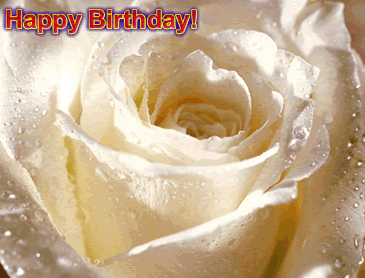 for you.gif