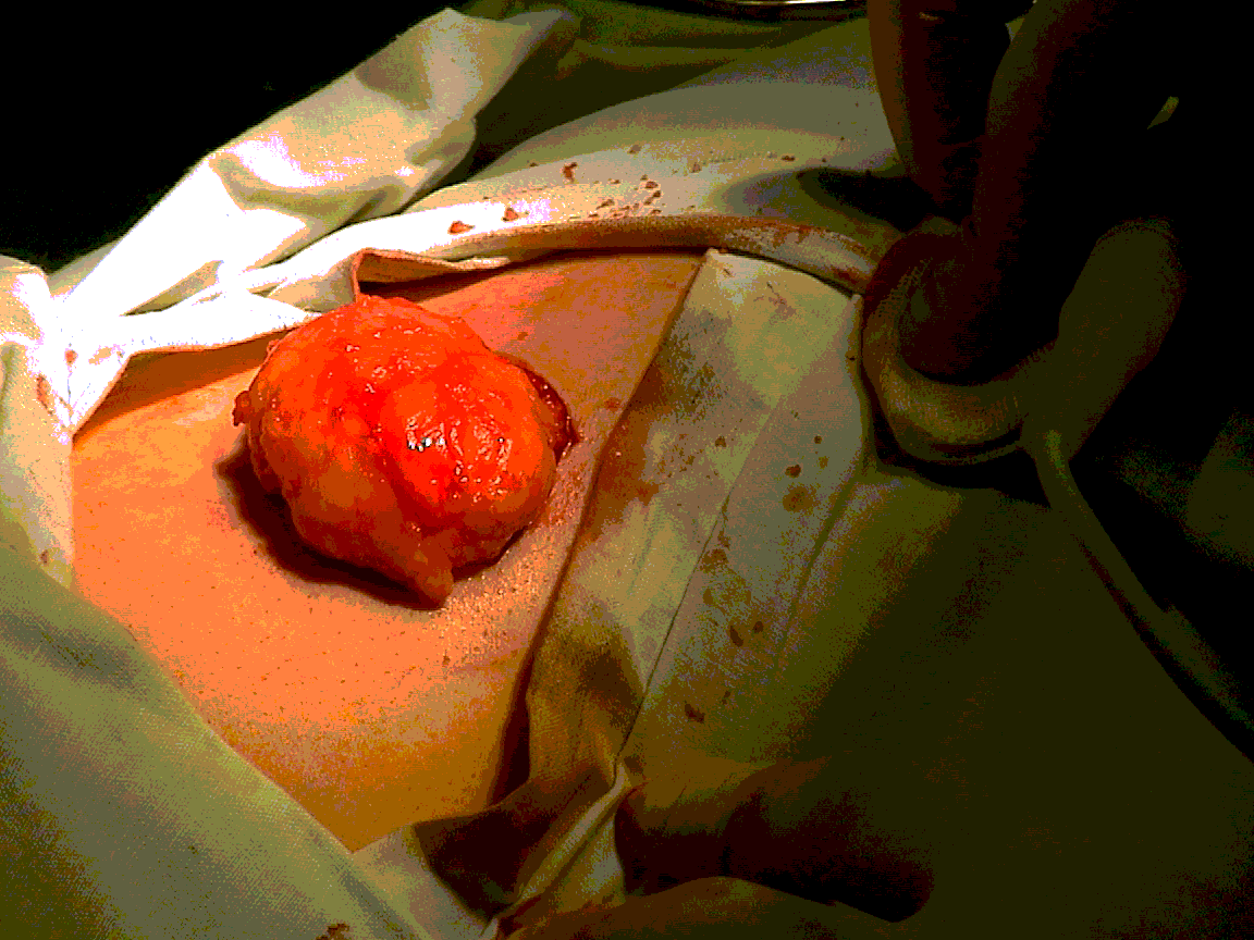 dsc01.gif