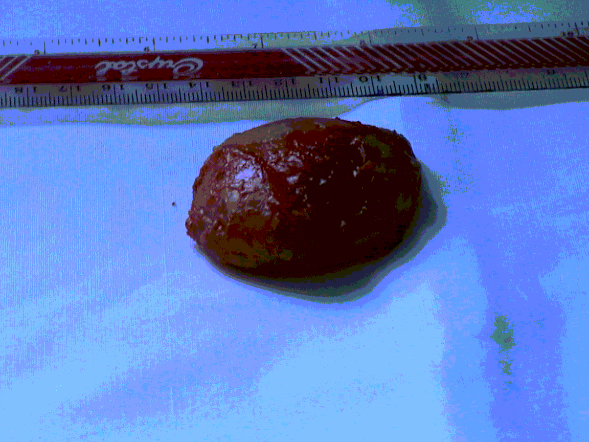 dsc02.gif