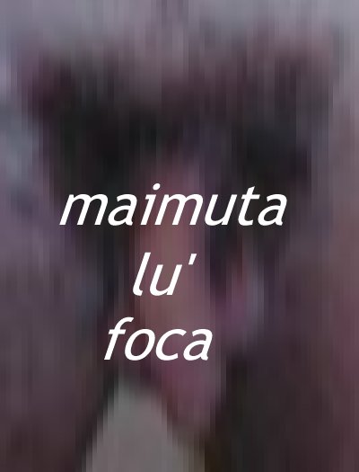 maimuta lu foca.jpg