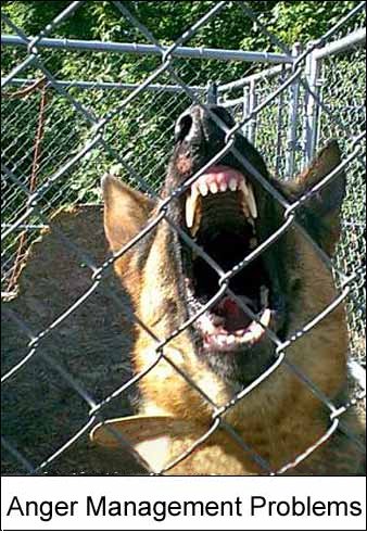 anger management.jpg