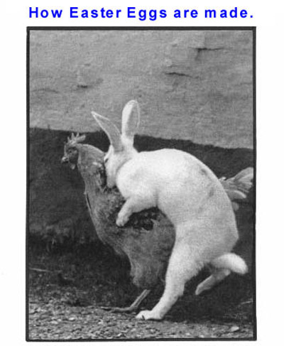 Easter egs.jpg