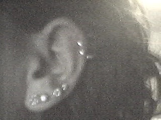 ear2.jpg