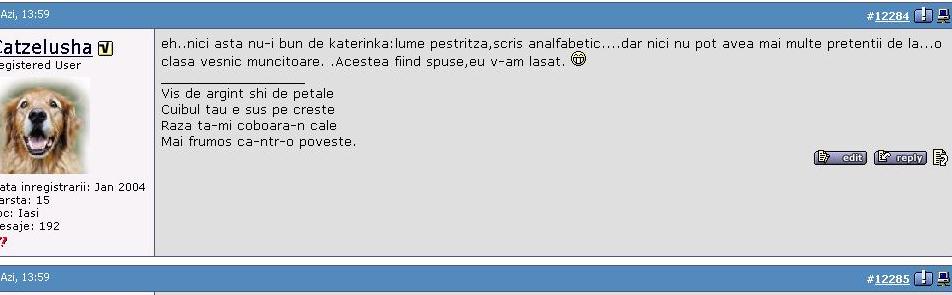 catze4.jpg