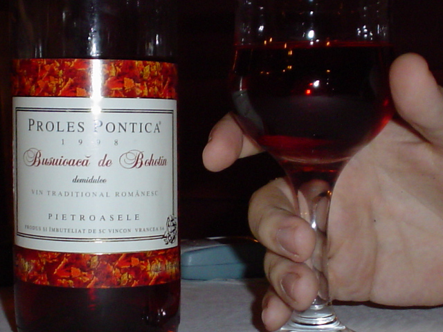 DSC00493.JPG