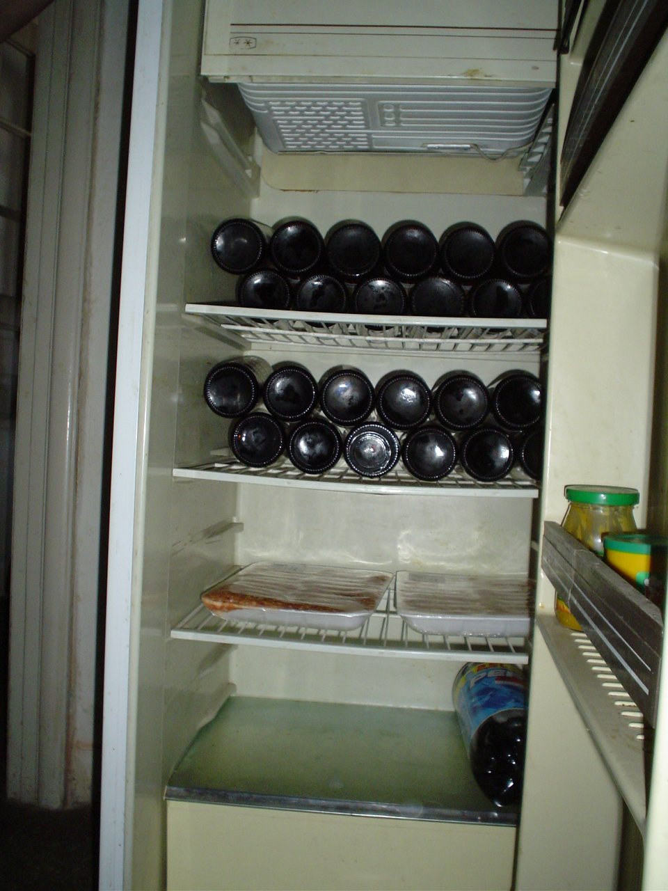 DSC00655.JPG