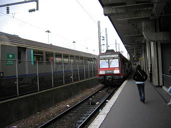 ter.JPG