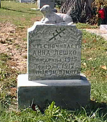 p003.jpg
