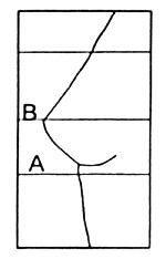 bustsize.jpg