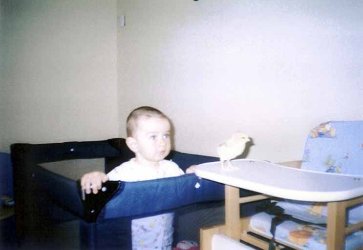 scan3.jpg