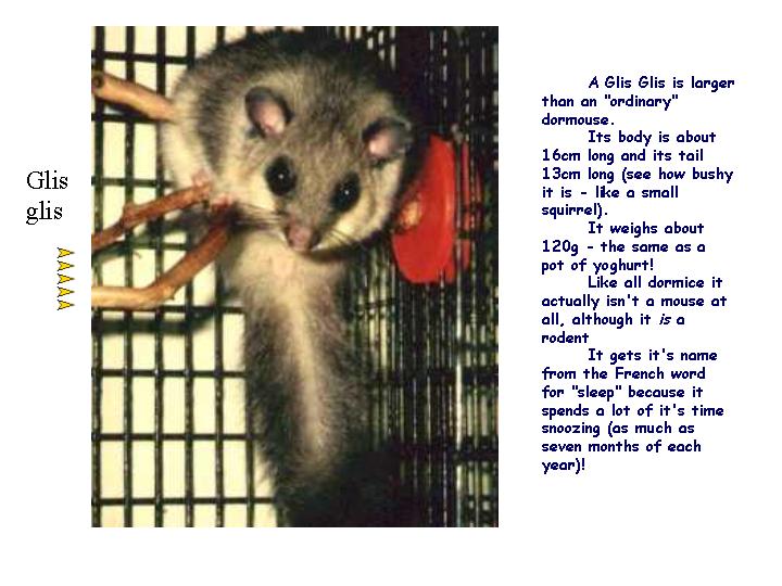Slide1.JPG