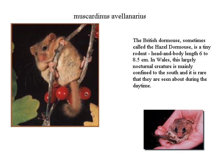 Slide2.JPG