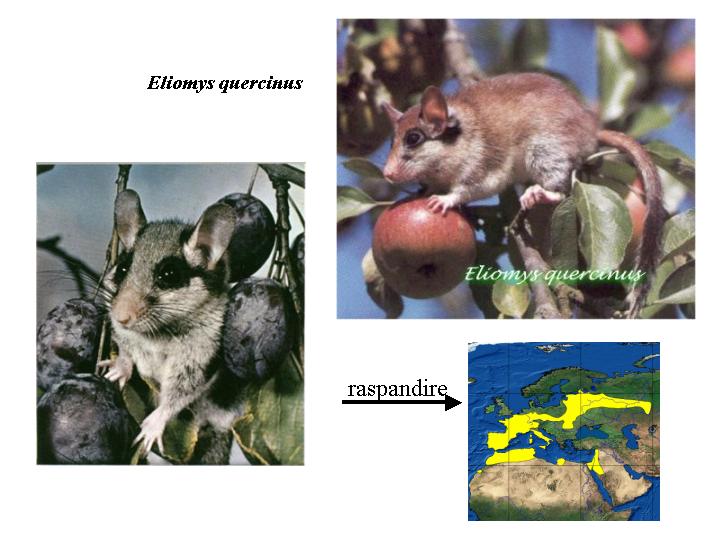 Slide3.JPG