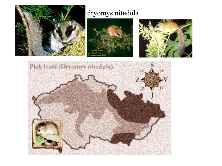 Slide4.JPG